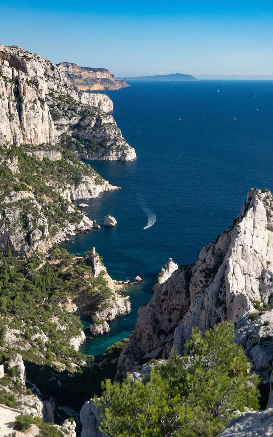 Cassis