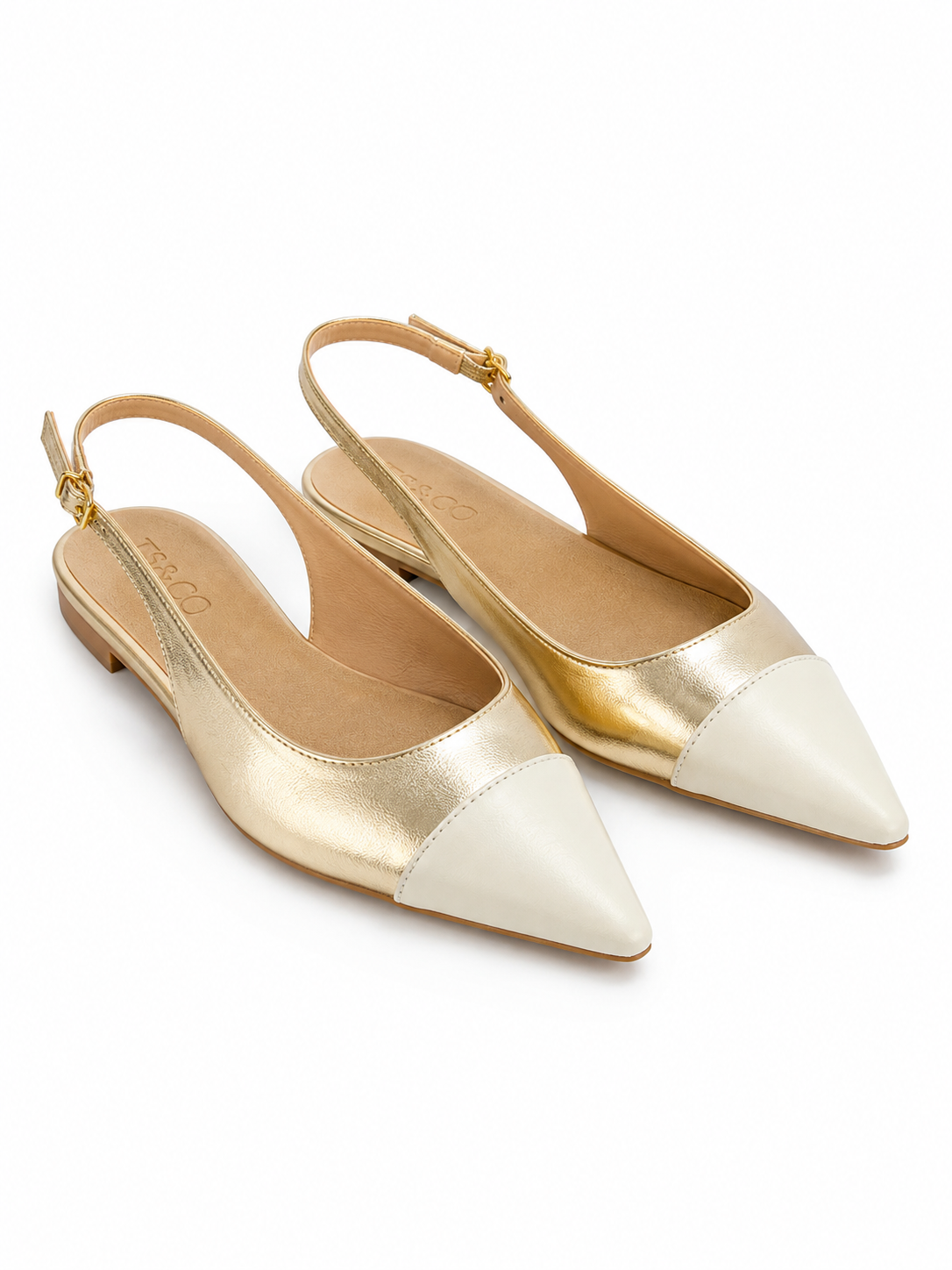 Pointe — TS&CO