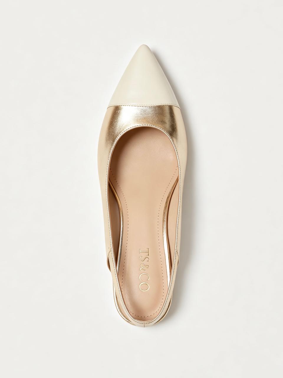 Pointe — TS&CO