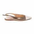 Pointe — TS&CO