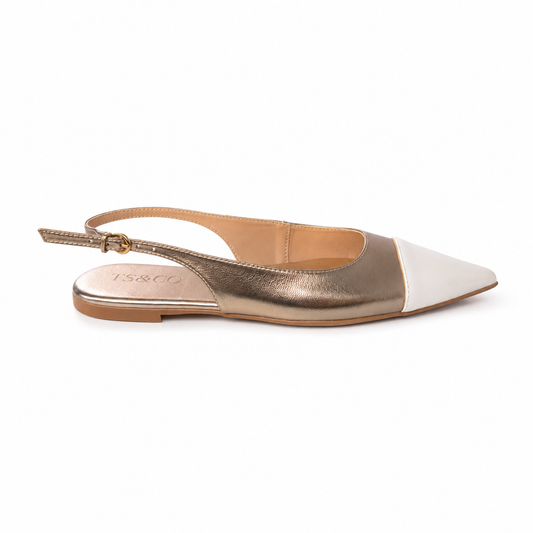 Pointe — TS&CO