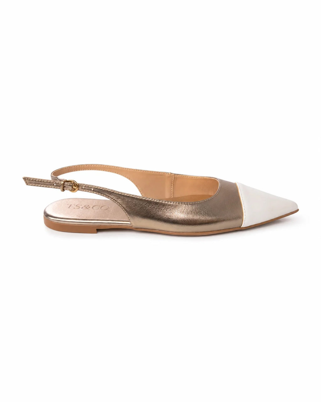 Pointe — TS&CO